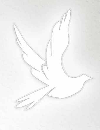 Judy Johnson Obituary